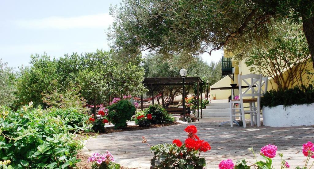 Katerina Charming Place Amoudara  Buitenkant foto